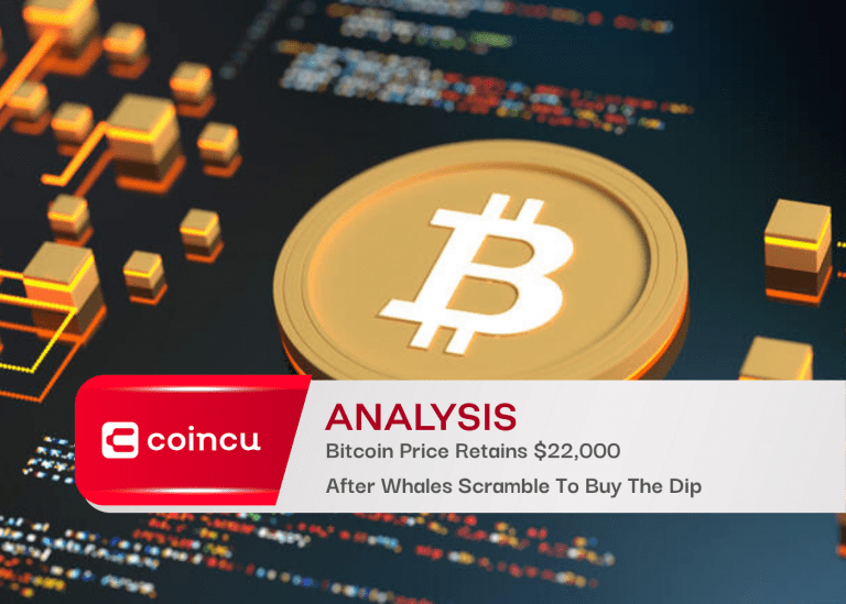 Bitcoin Price Retains $22,000 After Whales Scramble To Buy The Dip