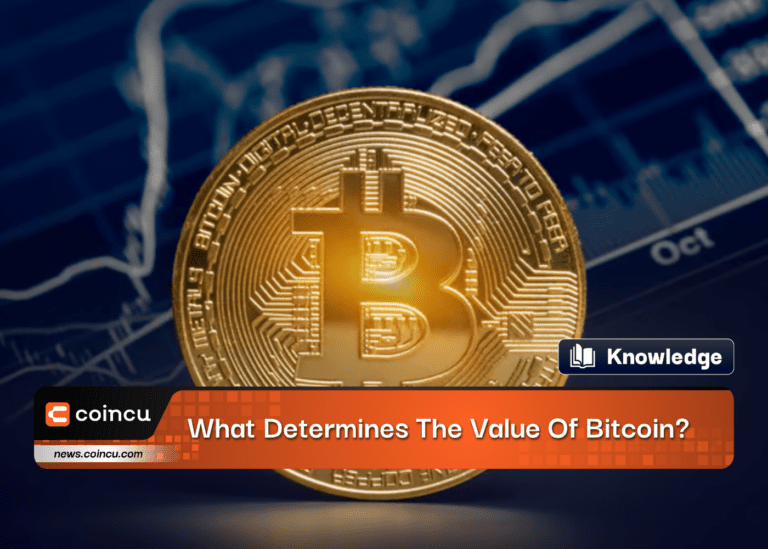 What Determines The Value Of Bitcoin?