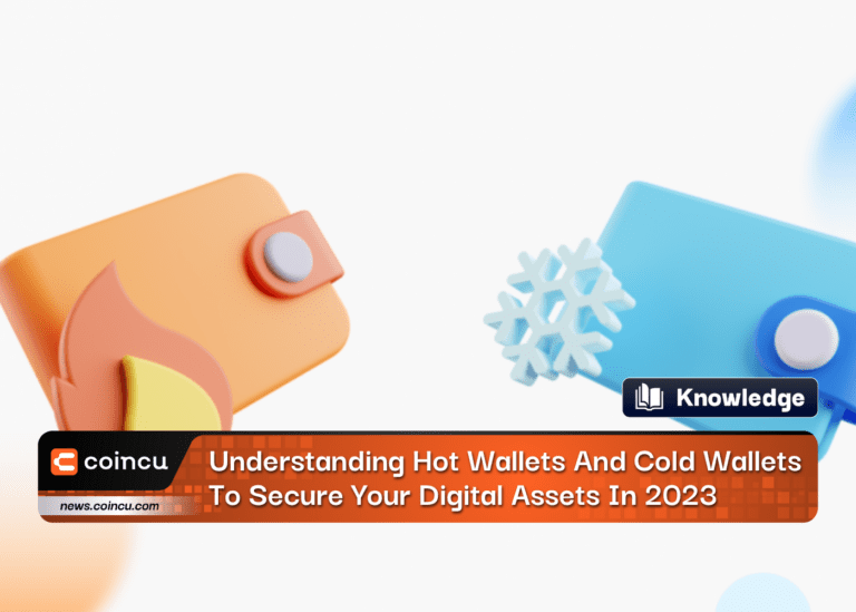 Understanding Hot Wallets And Cold Wallets To Secure Your Digital Assets In 2024
