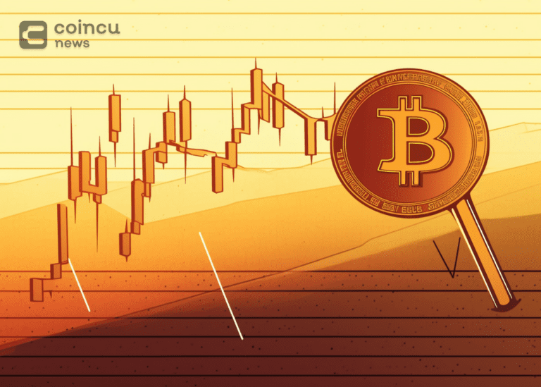 Bitcoin Is Showing Accumulation As The $29,000 Price Zone Holds