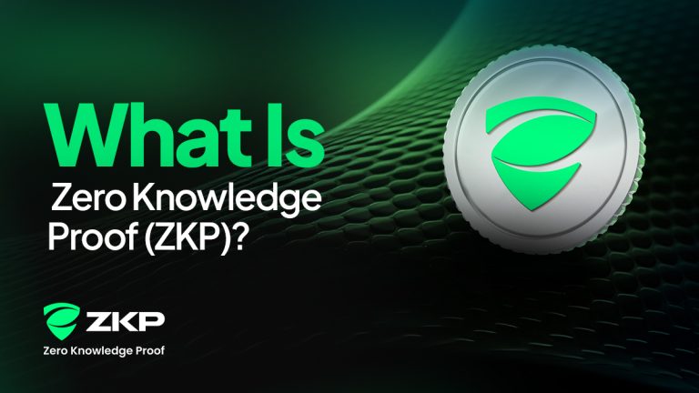 What is Zero Knowledge Proof? Exploring Hybrid Consensus for AI