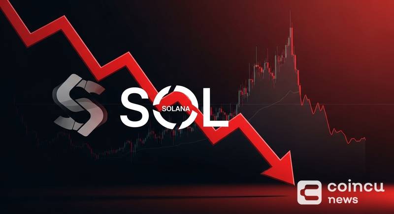 U.S. Spot SOL ETFs Post $1.1736M in Single-Day Net Outflows