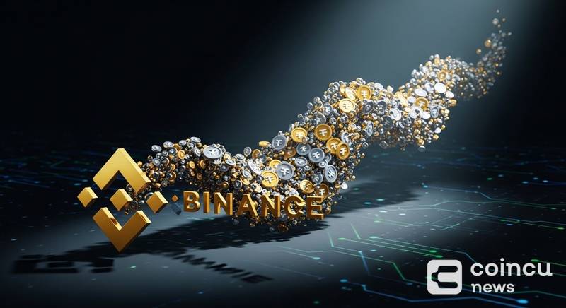 Binance Records $195M USDT Net Inflow in 24 Hours