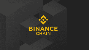 Binance exchange contributes for more than 30% of all SHIB spot trades worldwide.
