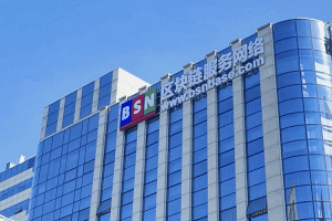 The Blockchain-Based Service Network Launches NFT Infrastructure Platform in China