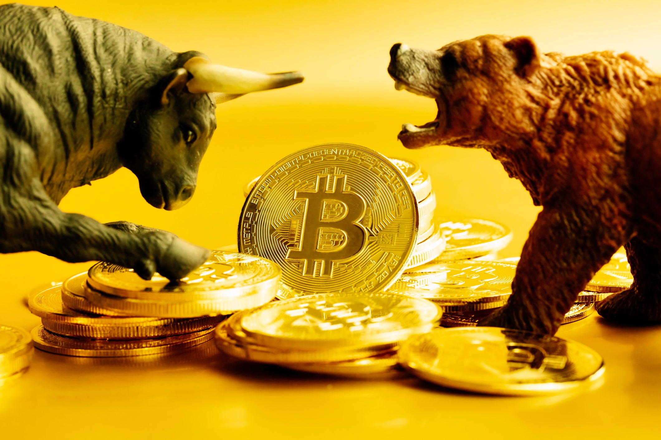 Both Bitcoin and Ethereum bears