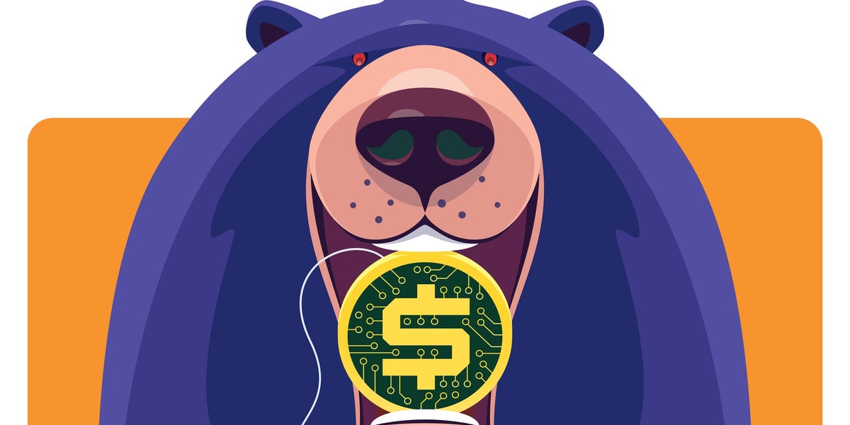 Bull Bear Case for Crypto in 2022