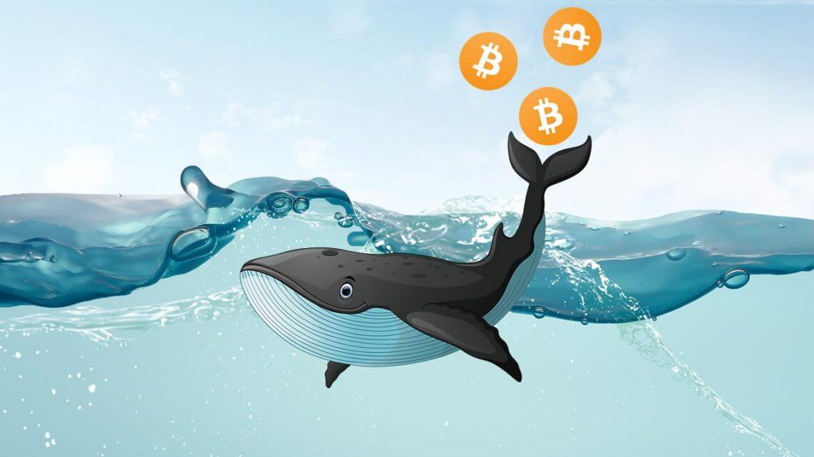 Crypto News Jan 24 Whales didnt buy bitcoin dips in