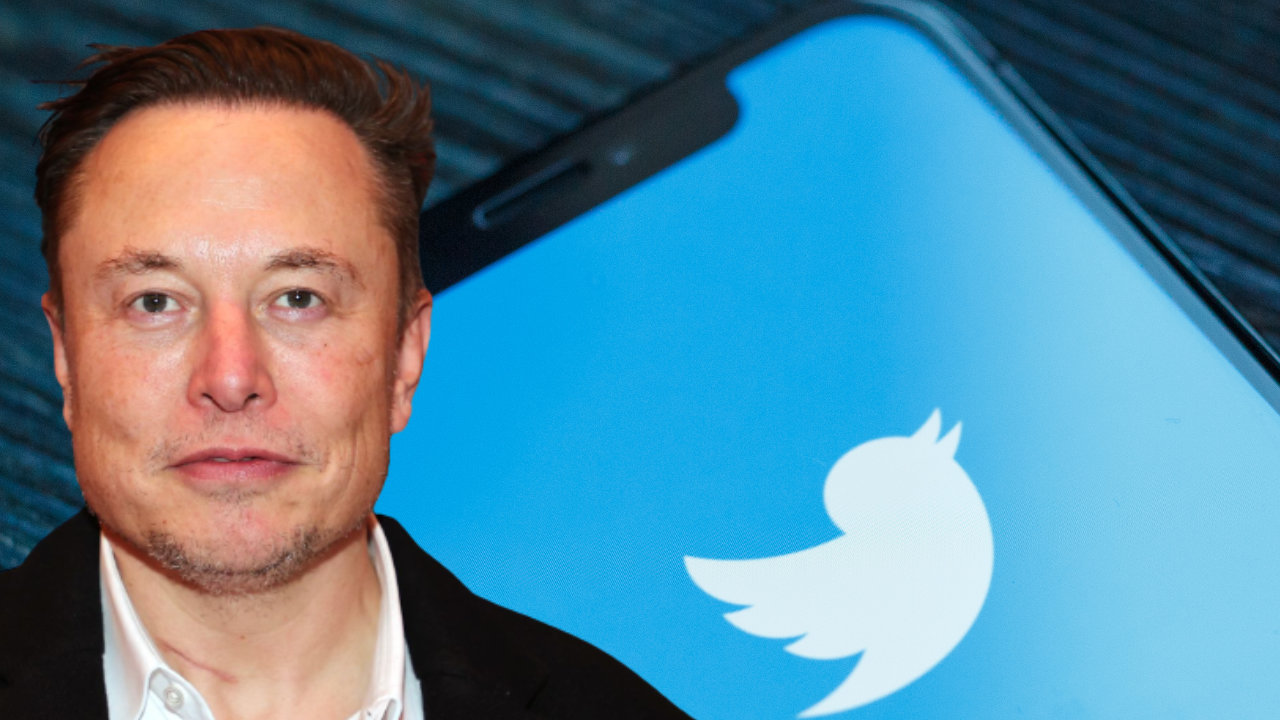 Elon Musk criticizes Twitters NFT profile picture feature as a