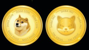 Will the dog themed memecoin expire in 2022