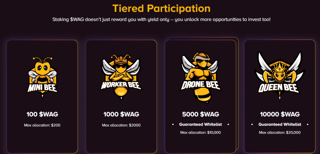 Top 5 Main IDO Platforms on Solana 23 image 39