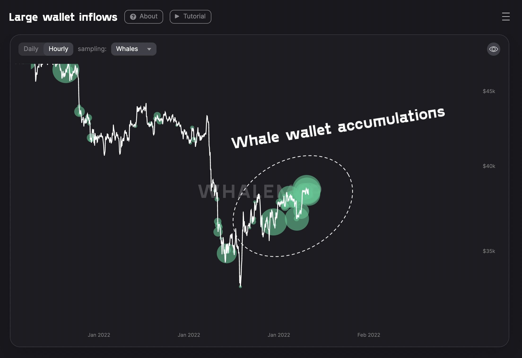 Bitcoin whales buy at 38000 as BTC supply per whale