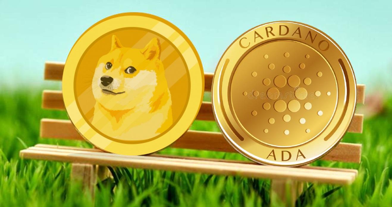 This indicator shows that DOGE and ADA are undervalued