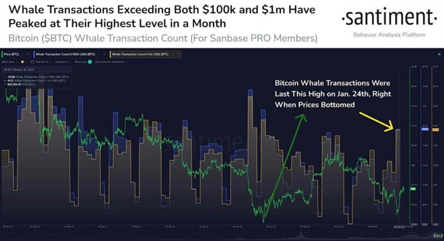 Whale hits bottom Bitcoin on the verge of a sharp