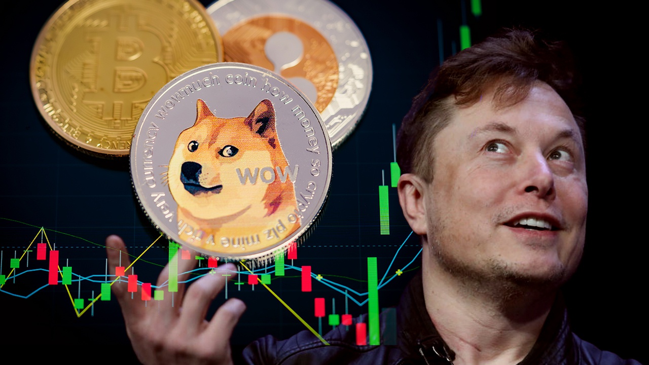 Elon Musk Wont Sell His Bitcoin Ethereum or Dogecoin Despite Crypto Bloodbath