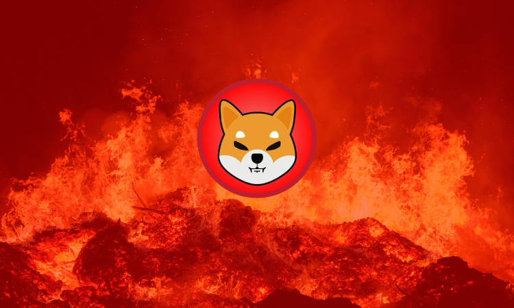 Over The Last 48 Hours 707 Million Shiba Inu Tokens Have Been Burned 2
