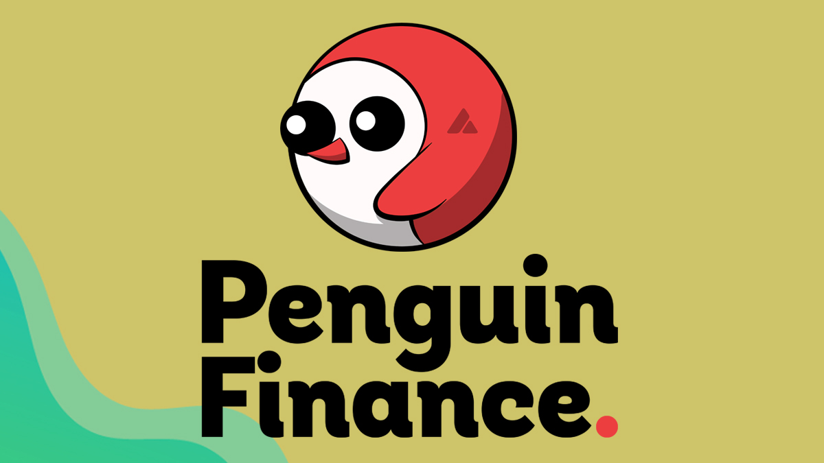 Pinguin Finanzierung