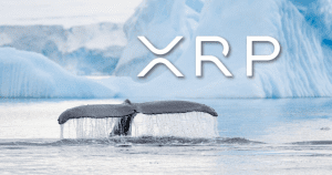 The XRP Whales Are On A Massive Accumulation Spree.