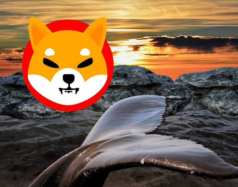 Shiba Inu Is Now The Third Most Held Token On Ethereum By Whales.