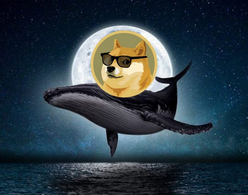 Dogecoin Whale Transactions Have Increased By 133%, Putting DOGE On Track To Reverse Months Of Price Declines.