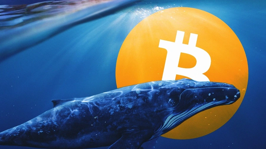 7831 BTC Moved From Coinbase To Cold Wallets As BTC Targets 46000