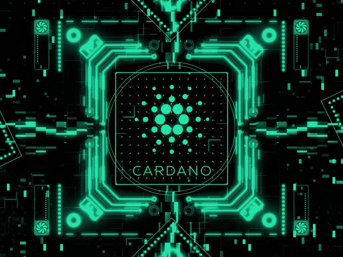 82 Of Cardano ADA Addresses Are ‘Out of the Money