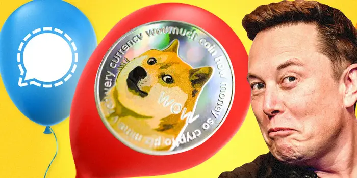As The Price Of DOGE Rises Elon Musk Effect Strikes Once More 2