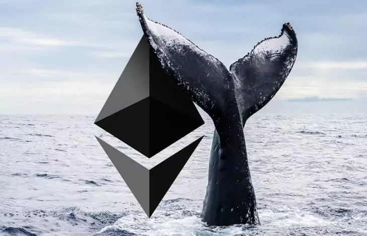 Ethereum Whales Pounce on Crypto Project Backed by FTX As Chainlink Shiba Inu and Several Altcoins Endure Outflows