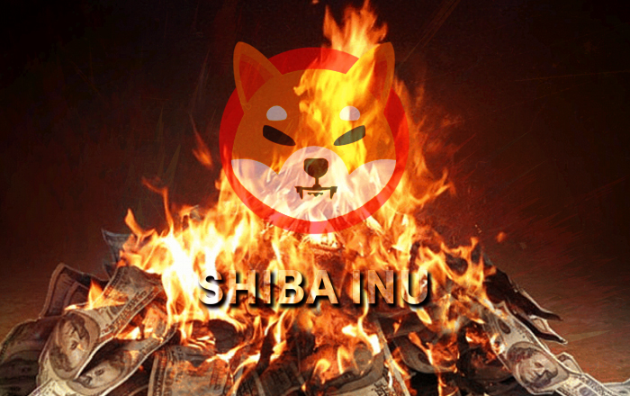 Over 6 Billion Shiba Inu Token Burned In 430 Transactions