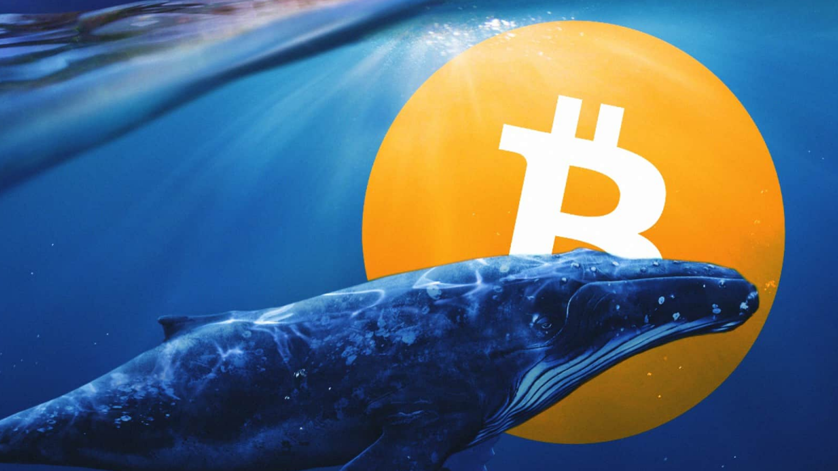 Bitcoin Whale Moves $9,600,000 BTC After Sleeping for 7 Years