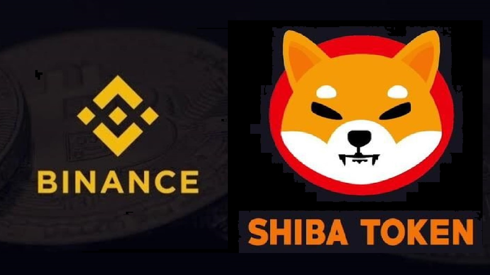 Binance Has Added Shiba Innu