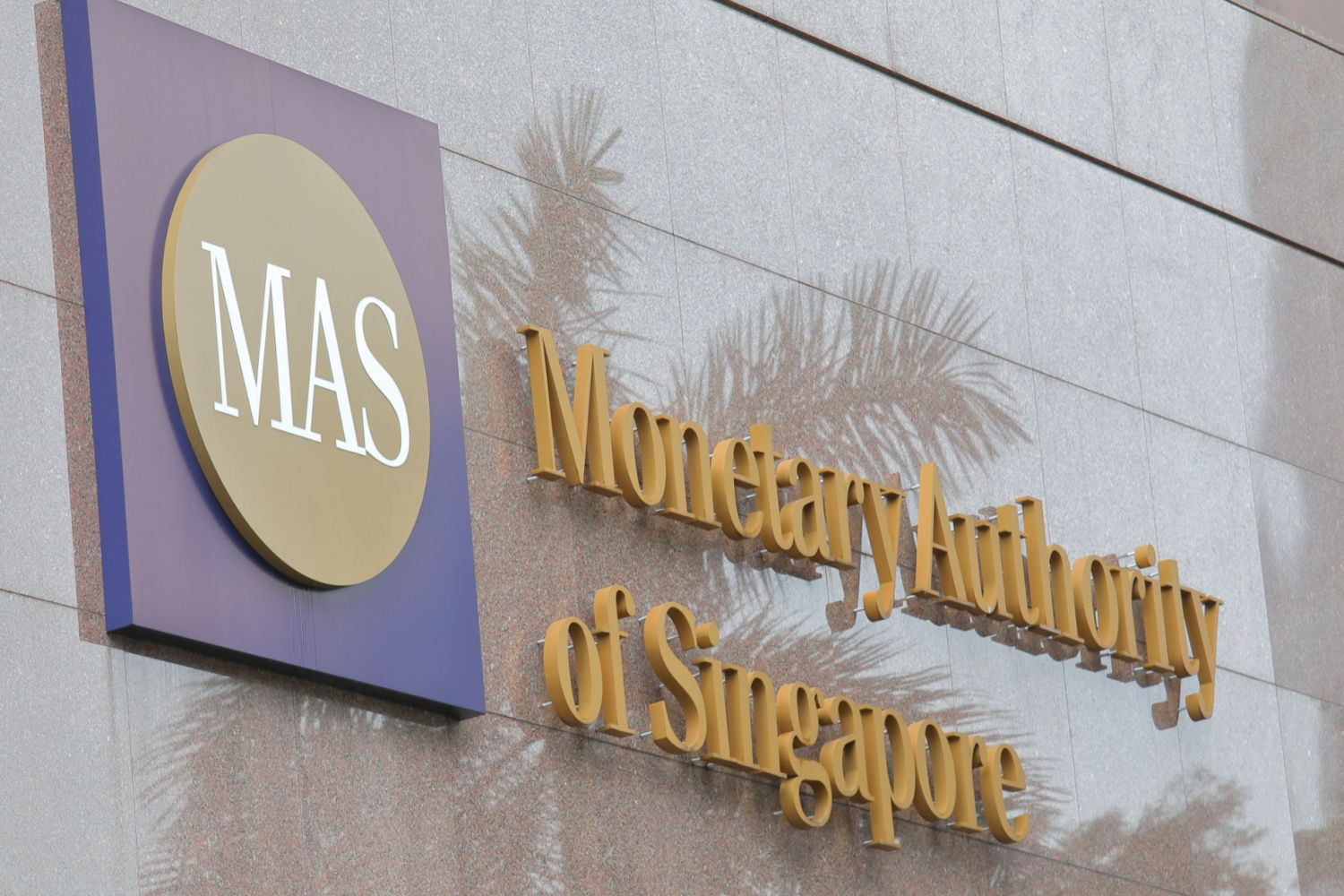 Singapore Will Investigate Digital Asset Tokenization On Public Chains.