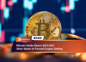 Bitcoin Holds Above $20,000 After Week of Forced Crypto Selling