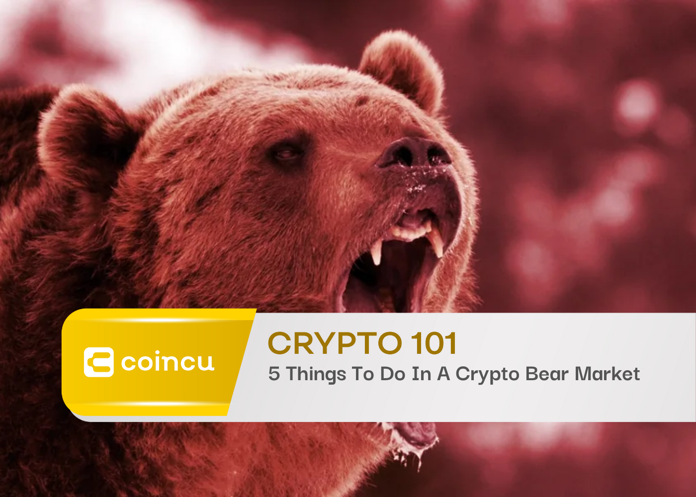 5 Things To Do In A Crypto Bear Market5 Things To Do In A Crypto Bear Market