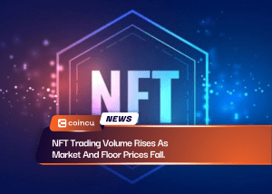 NFT Trading Volume Rises As Market And Floor Prices Fall.