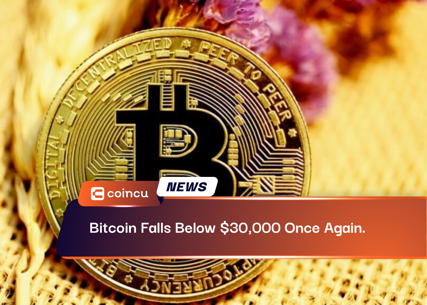Bitcoin Falls Below $30,000 Once Again.