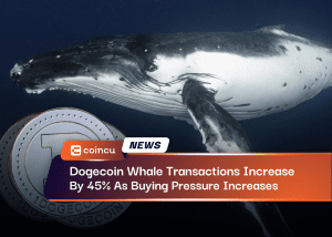 Dogecoin Whale Transactions Increase