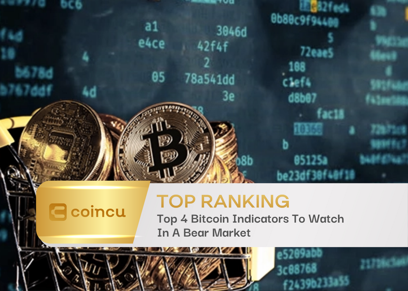 Top 4 Bitcoin Indicators To Watch In A Bear Market