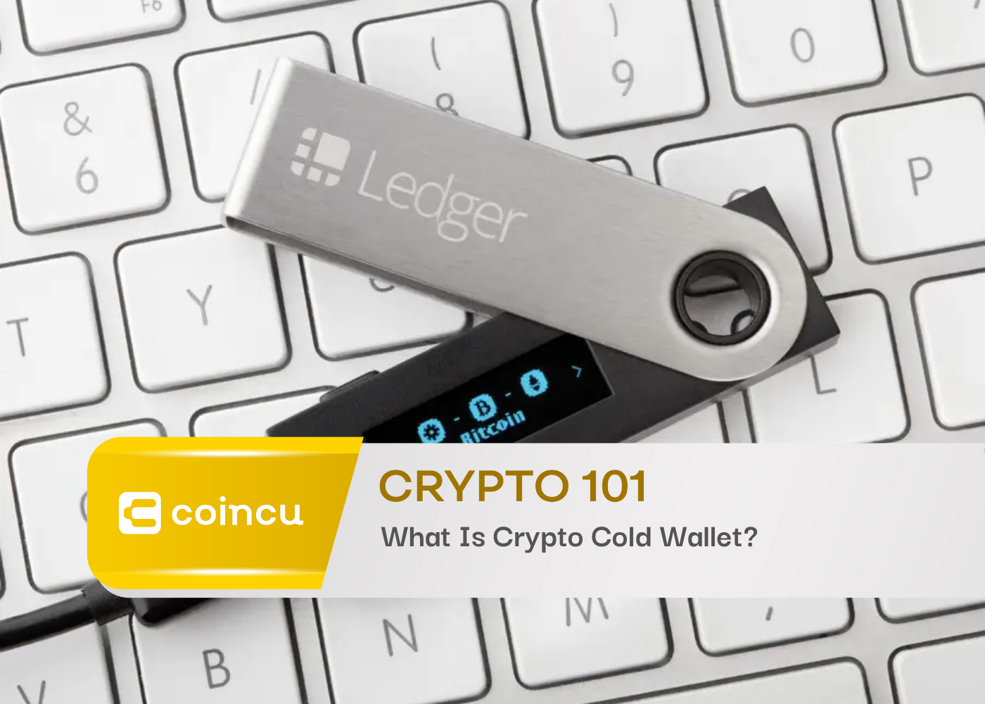 Crypto 101: What Is Crypto Cold Wallet?