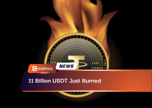 11 Billion USDT Just Burned