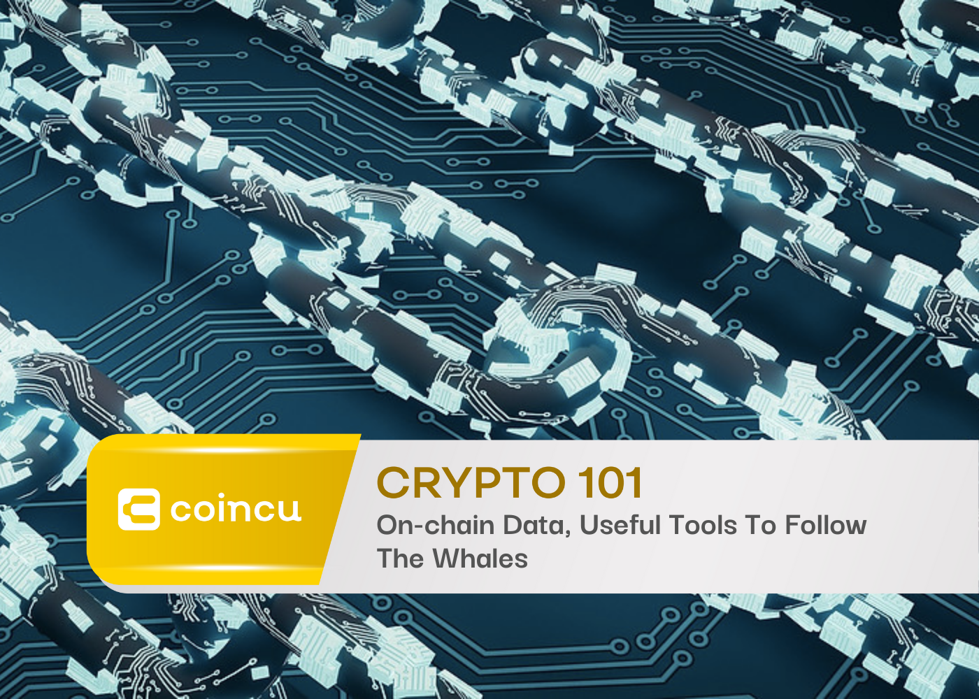 Crypto 101: 온체인 데이터, 고래를 추적하는 데 유용한 도구