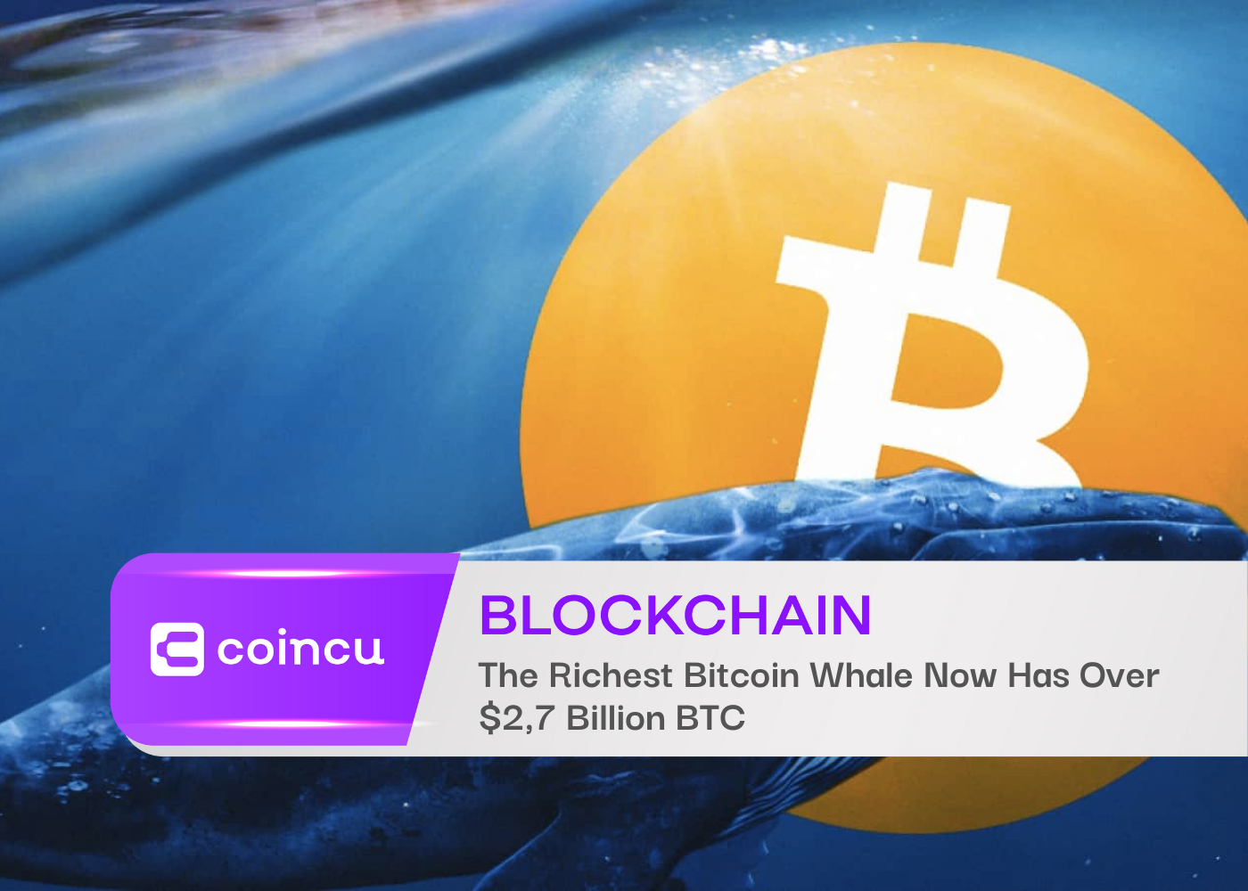 The Richest Bitcoin Whale Now Has Over $2,7 Billion BTC