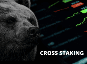 Cross Staking Protects Crypto Investors from Bear Market