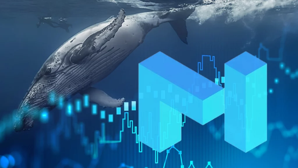 18.8 Million Dogecoin Were Purchased By Whale With 40 Million XRP