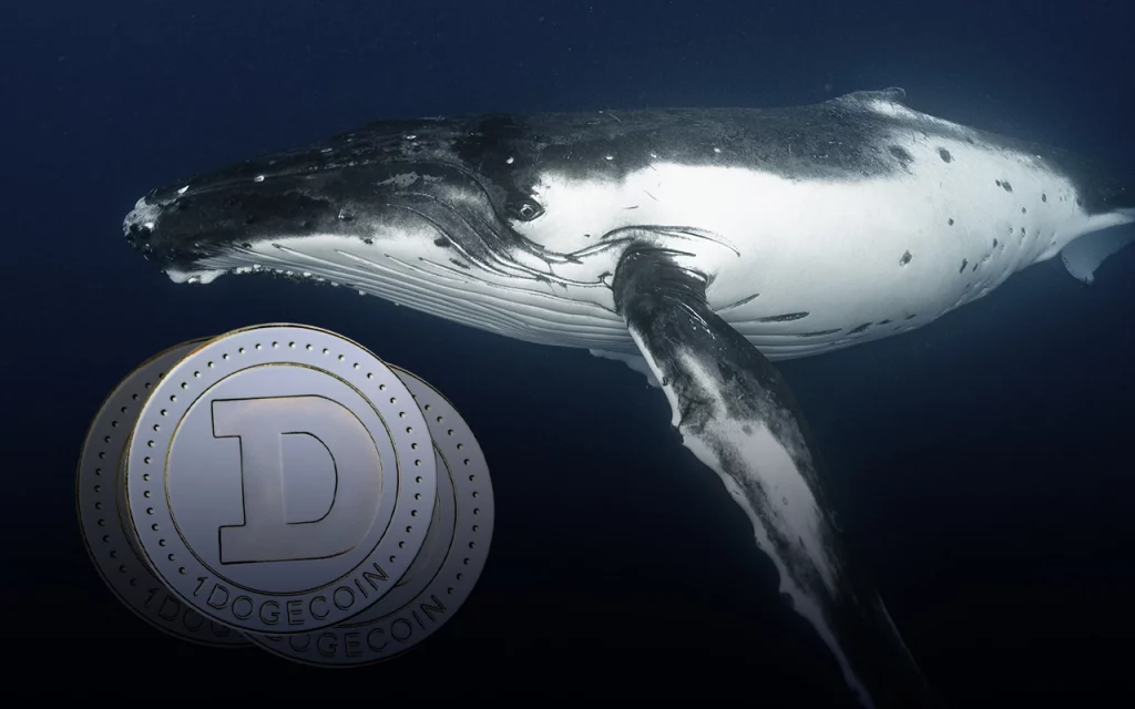18.8 Million Dogecoin Were Purchased By Whale With 40 Million XRP