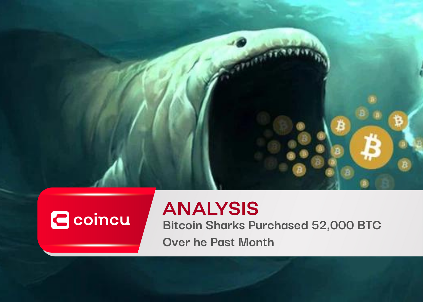 Bitcoin Sharks Purchased 52000 BTC