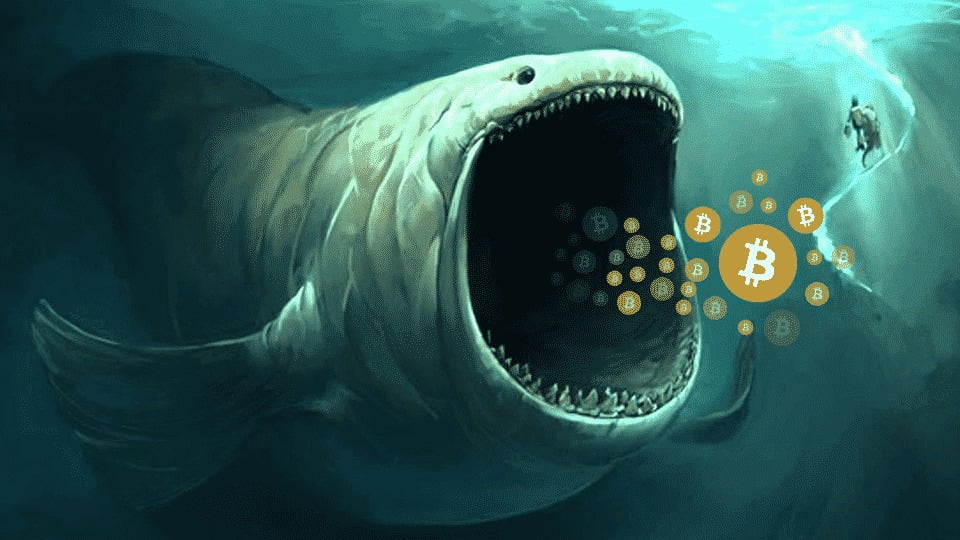 The Richest Whale Wallet Accumulating BTC Can Make $102 Million In A Month 1 Wallet
