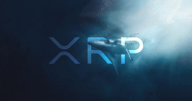 Ex-Ripple Executive Shows Maximalists Wrong About Bitcoin 1 Ex-Ripple Executive Shows Maximalists in Bitcoin Wrong About Bitcoin
