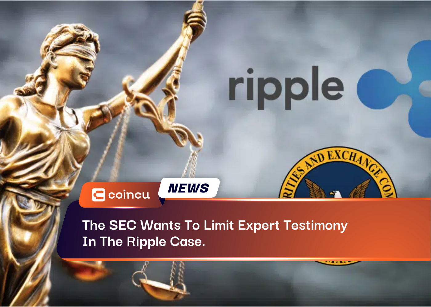 The SEC Wants To Limit Expert Testimony In The Ripple Case.