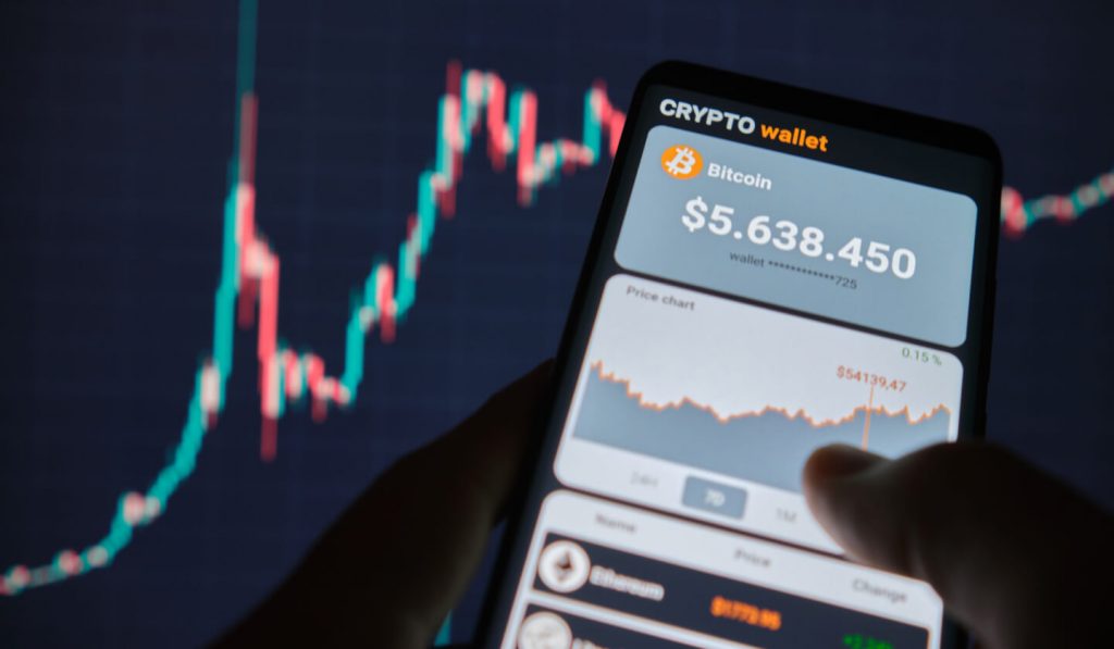 What Is a Crypto Wallet and How to Use It?